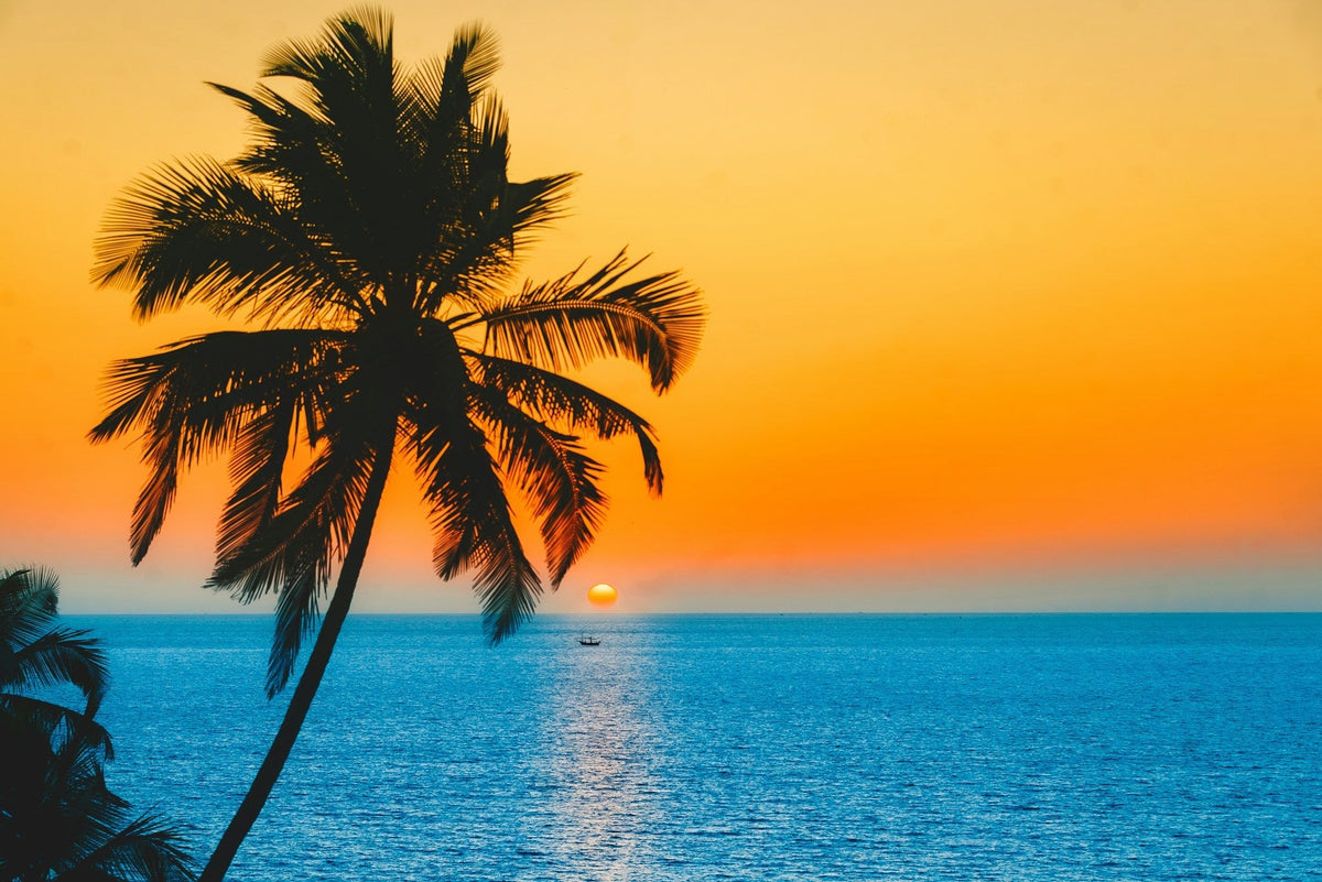 Goa vakantie tips: 10 activiteiten & bezienswaardigheden | Joeba
