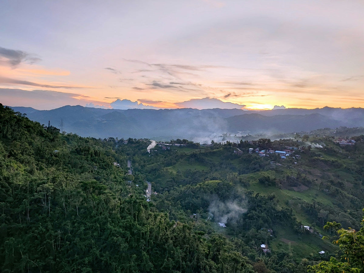 Cebu vakantie tips: 10 activiteiten & bezienswaardigheden | Joeba