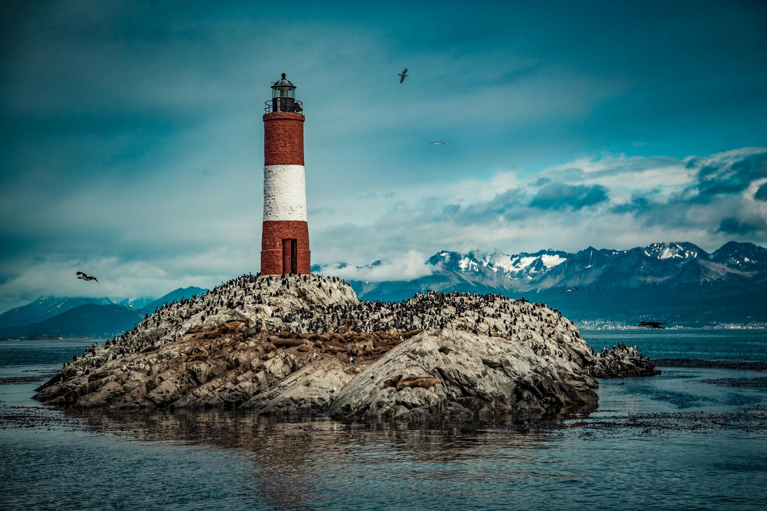 Ushuaia vakantie tips: 10 activiteiten & bezienswaardigheden | Joeba