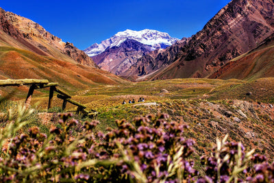 Mendoza vakantie tips: 10 activiteiten & bezienswaardigheden | Joeba