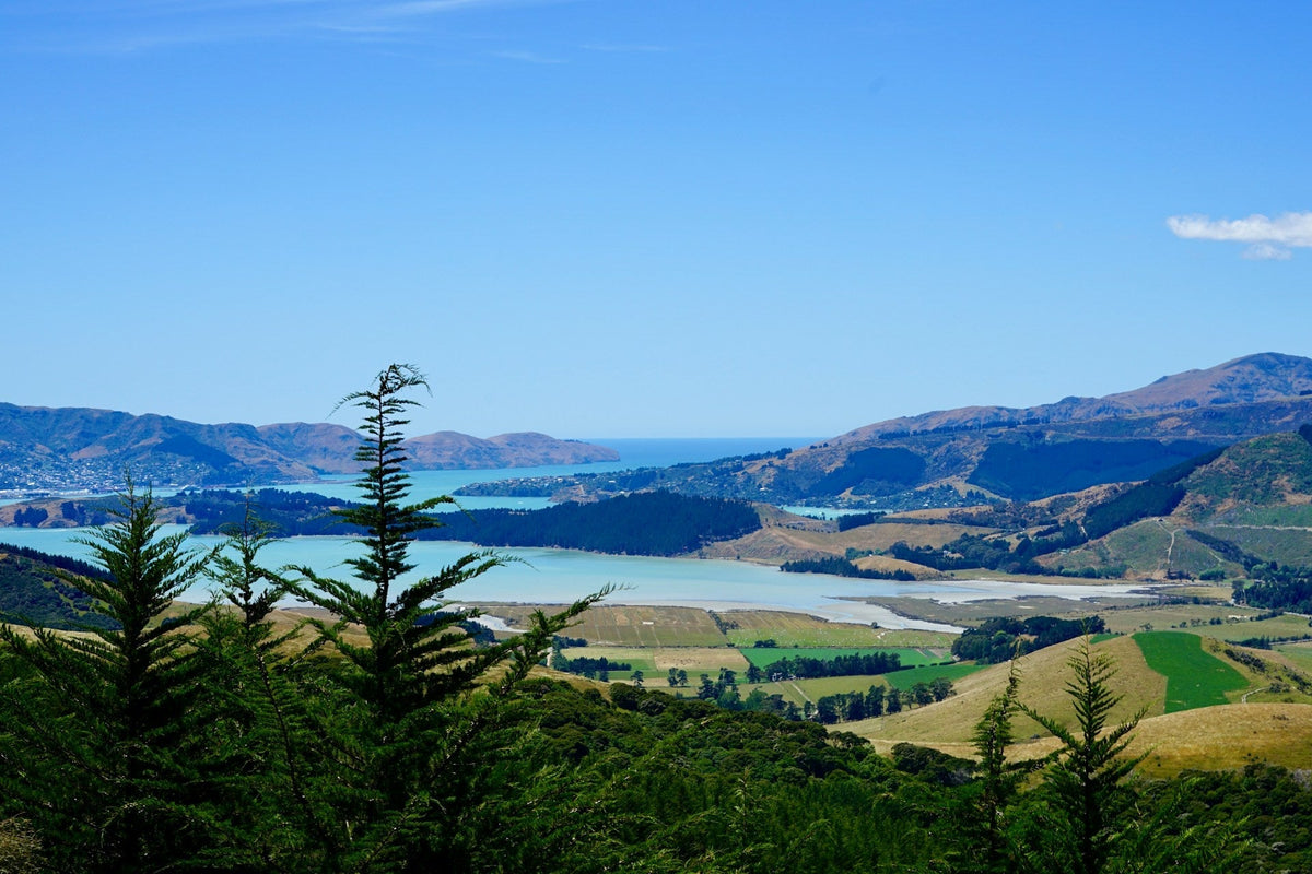 Wat te doen in Christchurch: 10 activiteiten die je niet mag missen