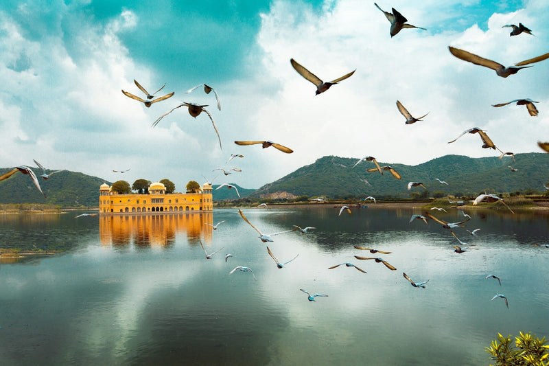 Jaipur vakantie tips: 10 activiteiten & bezienswaardigheden | Joeba