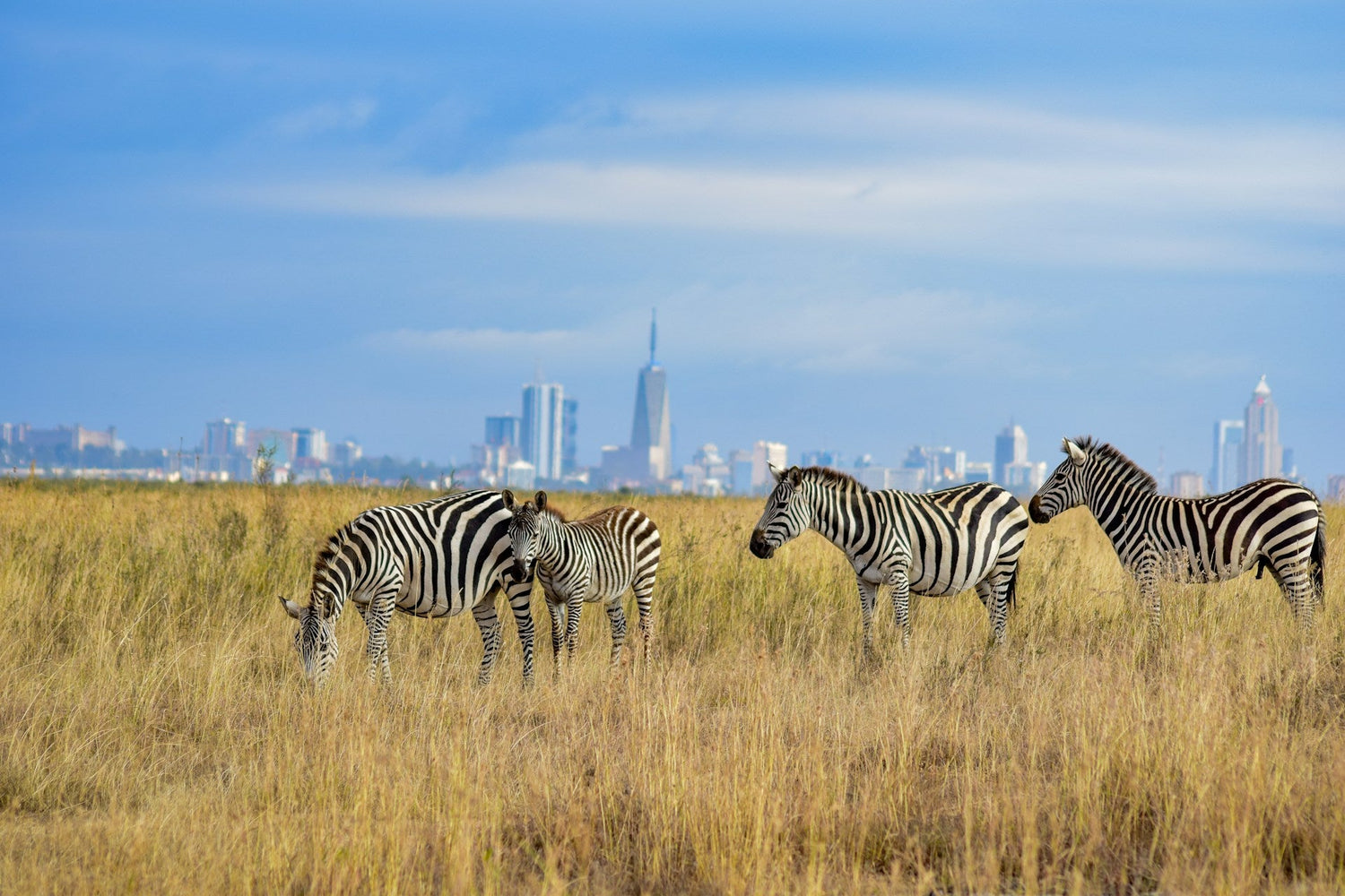 Nairobi vakantie tips: 10 activiteiten & bezienswaardigheden | Joeba