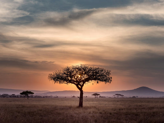 Tanzania Roadtrips: Top 5 Meerdaagse Rondreizen | Joeba