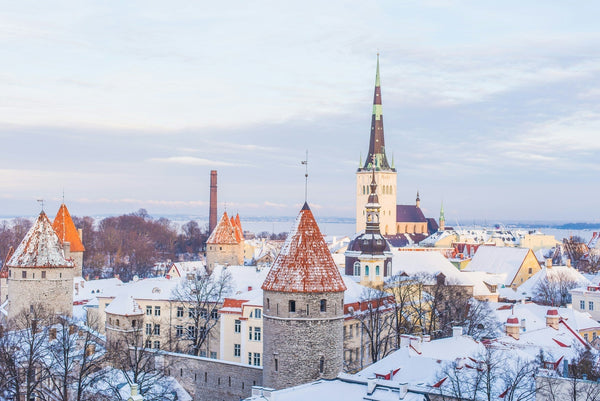 Wat te doen in Tallinn: 10 activiteiten die je niet mag missen