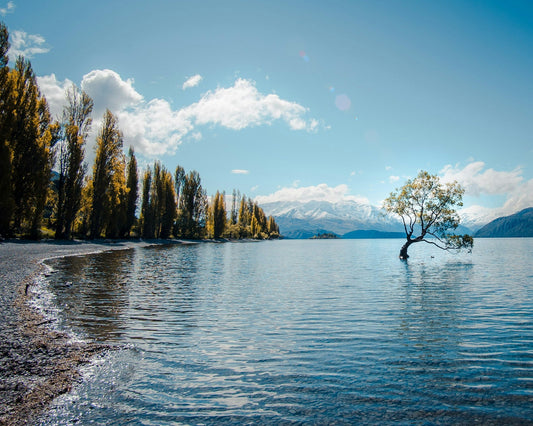 Wat te doen in Wanaka: 10 activiteiten die je niet mag missen