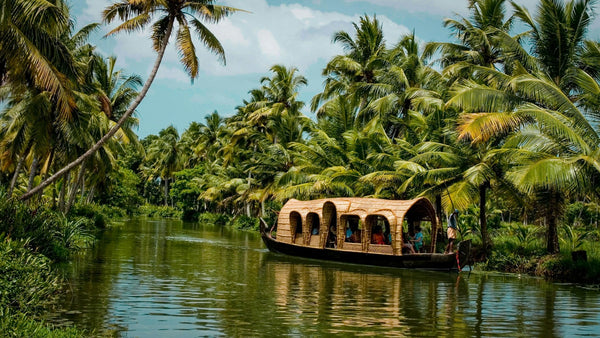 Kerala vakantie tips: 10 activiteiten & bezienswaardigheden | Joeba