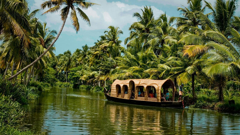 Kerala vakantie tips: 10 activiteiten & bezienswaardigheden | Joeba