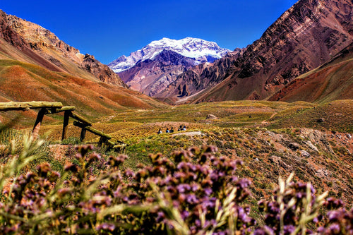 Mendoza vakantie tips: 10 activiteiten & bezienswaardigheden | Joeba