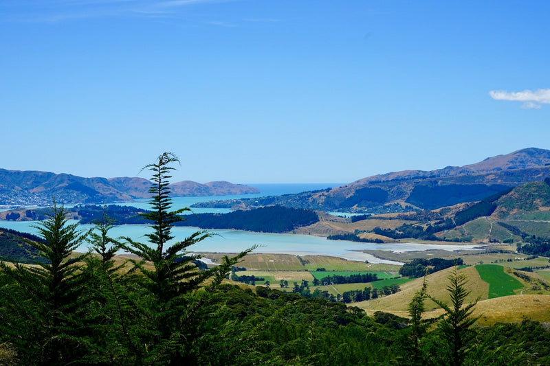 Wat te doen in Christchurch: 10 activiteiten die je niet mag missen