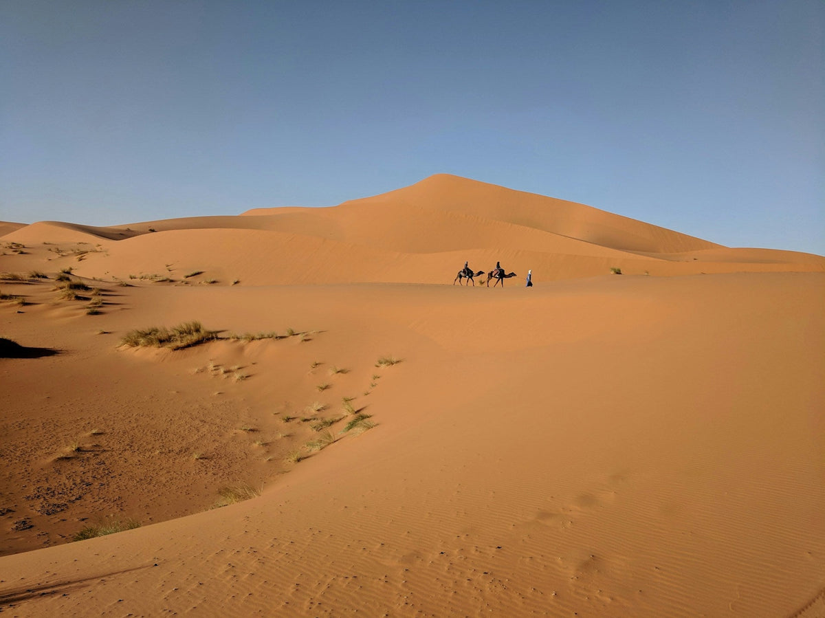 Marokko Roadtrips: Top 5 Meerdaagse Rondreizen | Joeba