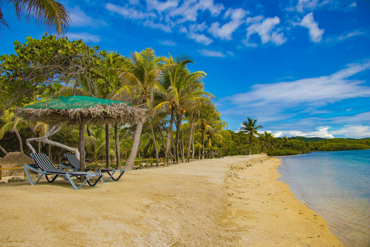 Roatán vakantie tips: 10 activiteiten & bezienswaardigheden | Joeba