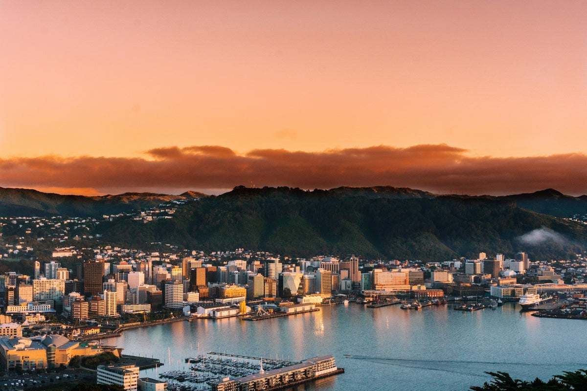 Wat te doen in Wellington: 10 activiteiten die je niet mag missen