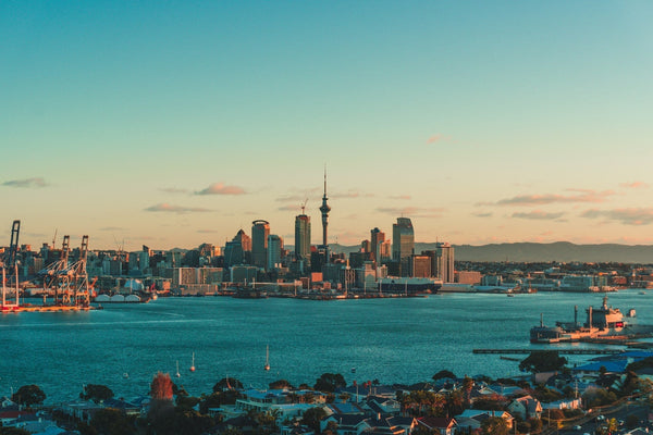Wat te doen in Auckland: 10 activiteiten die je niet mag missen