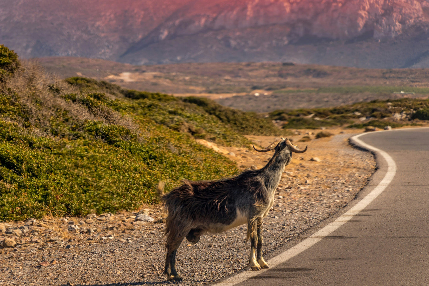 Kreta, Griekenland 🇬🇷