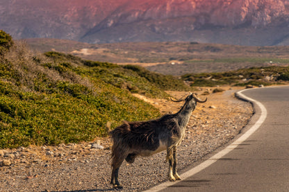 Kreta, Griekenland 🇬🇷