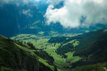 Natuurreizen 🌿